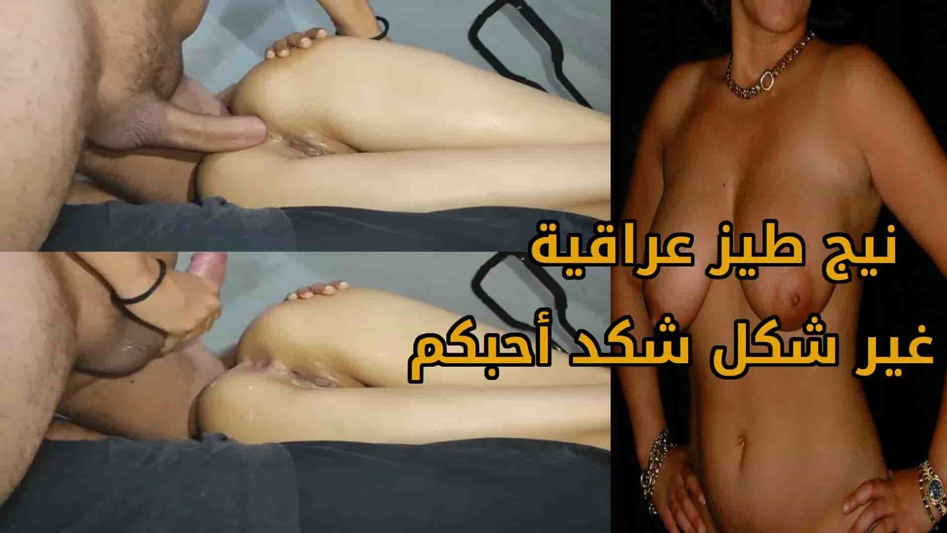 فيديو جديد لنيج طيز عراقية غير شكل شكد أحبكم
